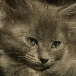 Meet your Posher, Jared